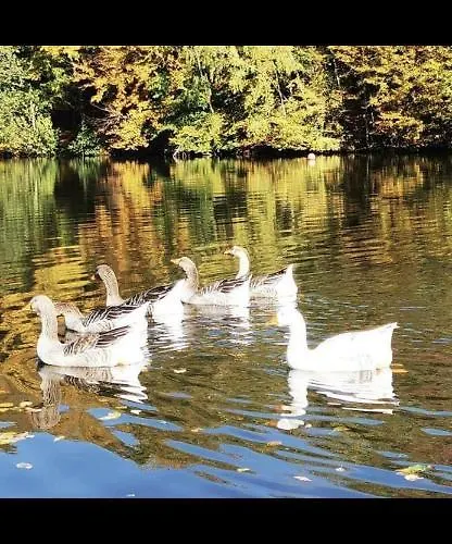 Mobile N 48 Sur Camping 4 Etoiles Fourmies